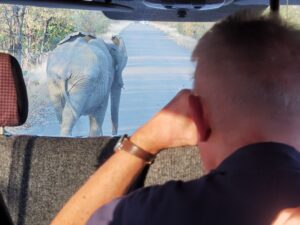 Elephant crossing...