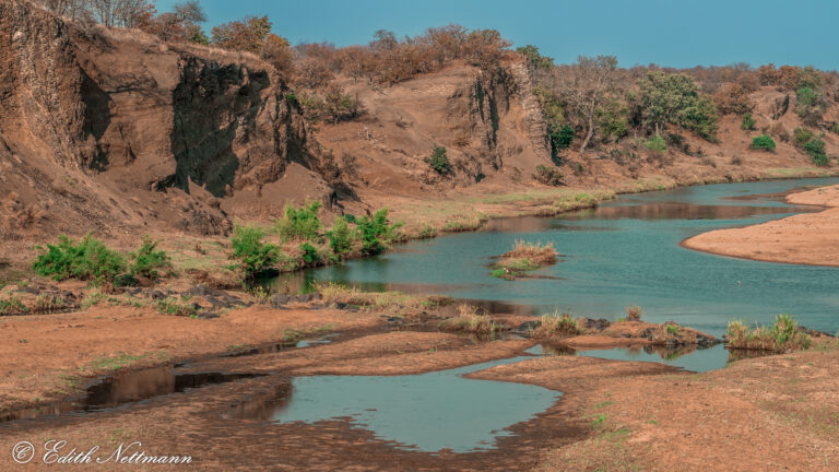 Oasis in Kruger Park - Oase im Kruger Nationalpark