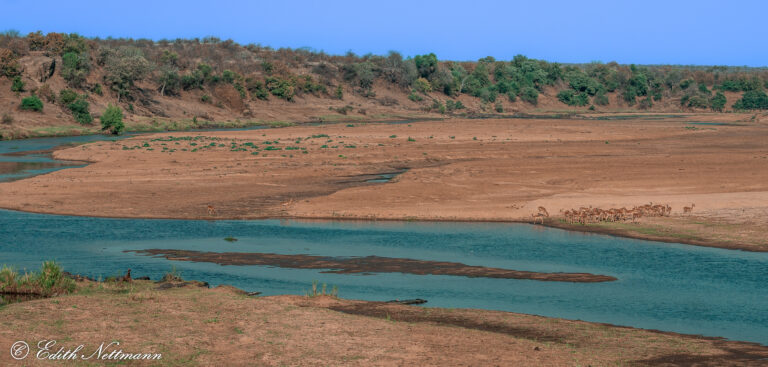 Water is life - Wasser ist Leben (Kruger Nationalpark)